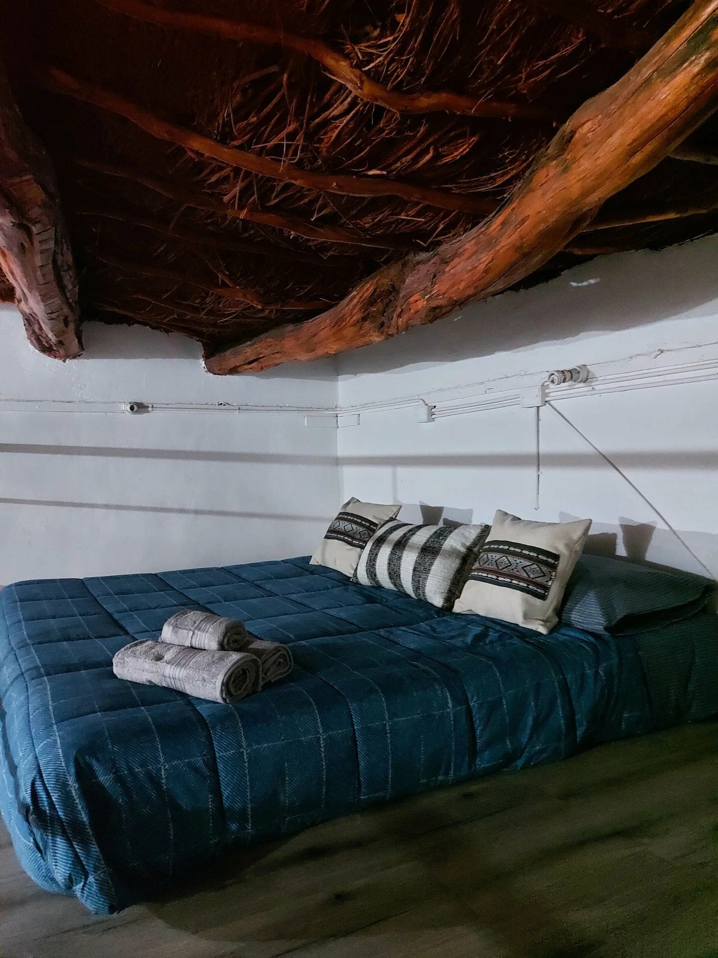 ezgif.com-webp-to-jpg (2).jpg