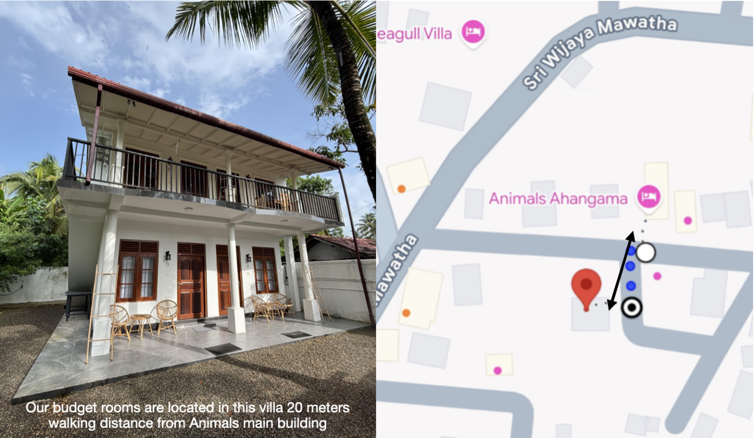 Relationsship to Animals.png