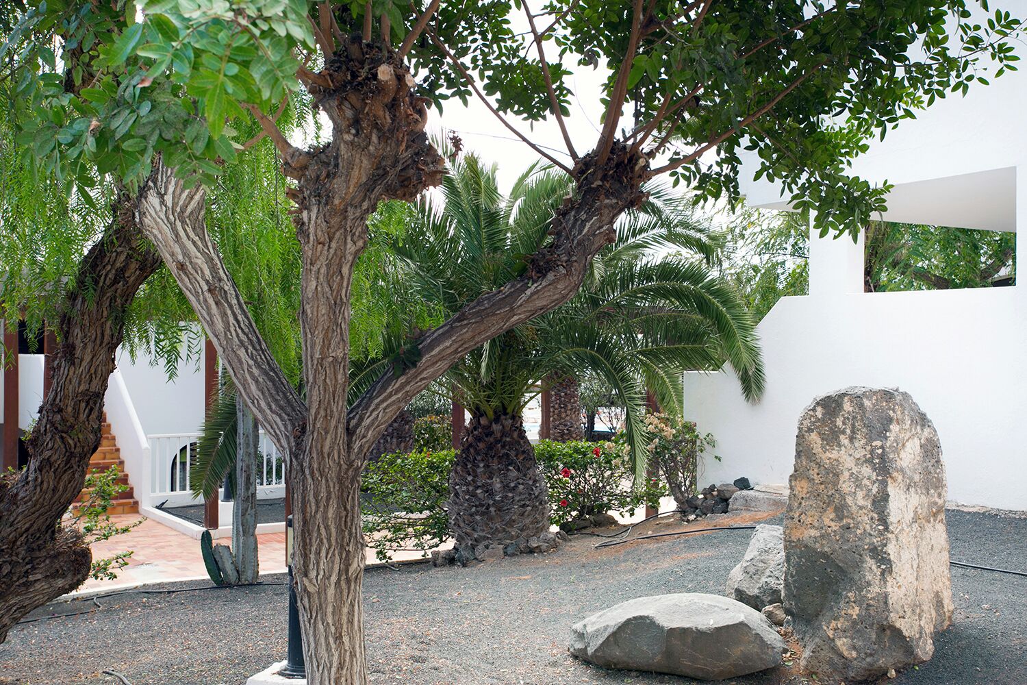 WhatsApp Image 2019-05-19 at 09.12.42.jpeg