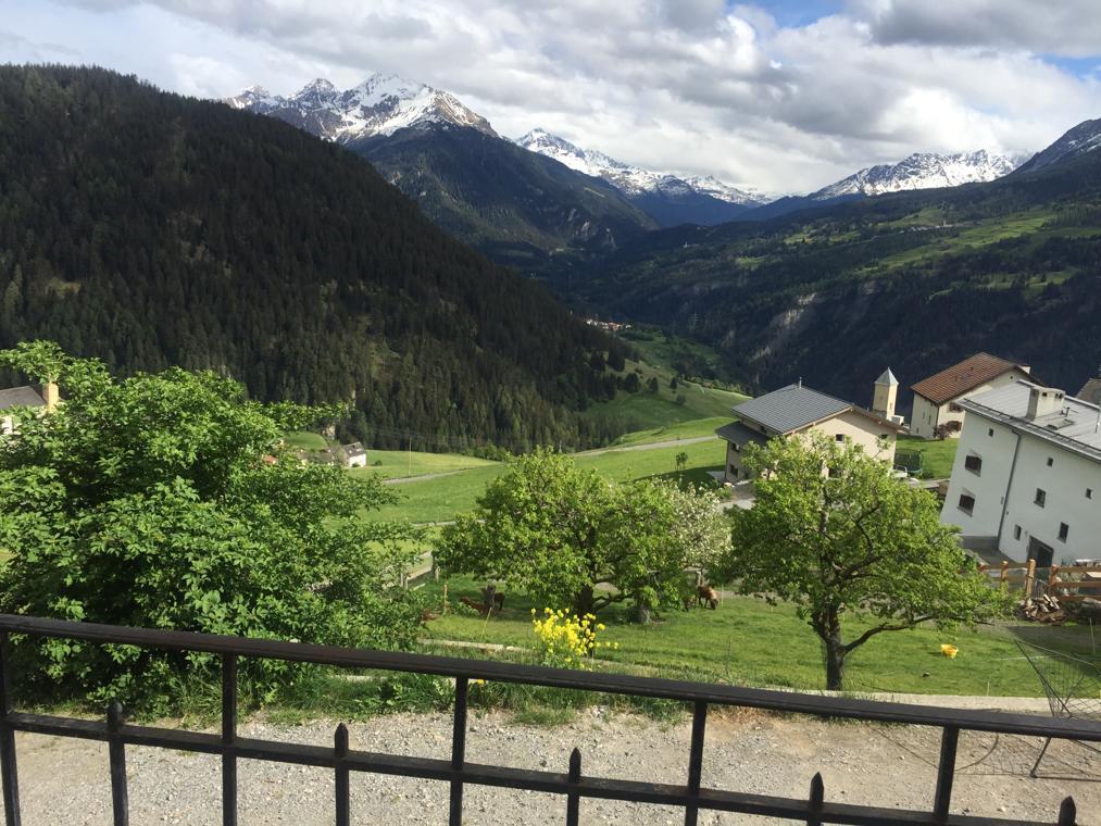 WhatsApp Image 2020-05-11 at 16.44.53 (4).jpeg