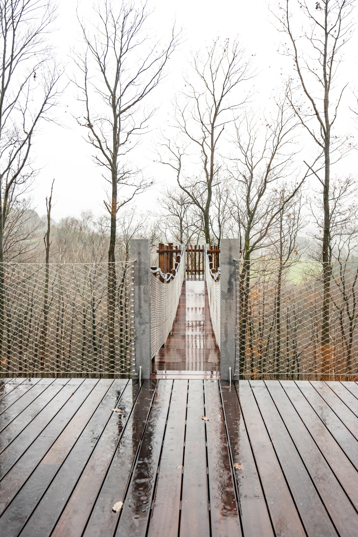 Bridge into the Nature Web-03107.jpg