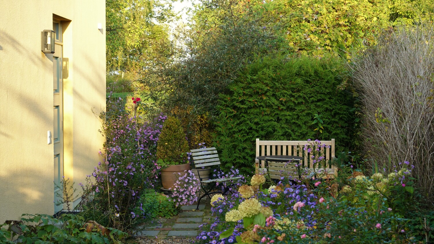 DSC04316 - Kopie.JPG