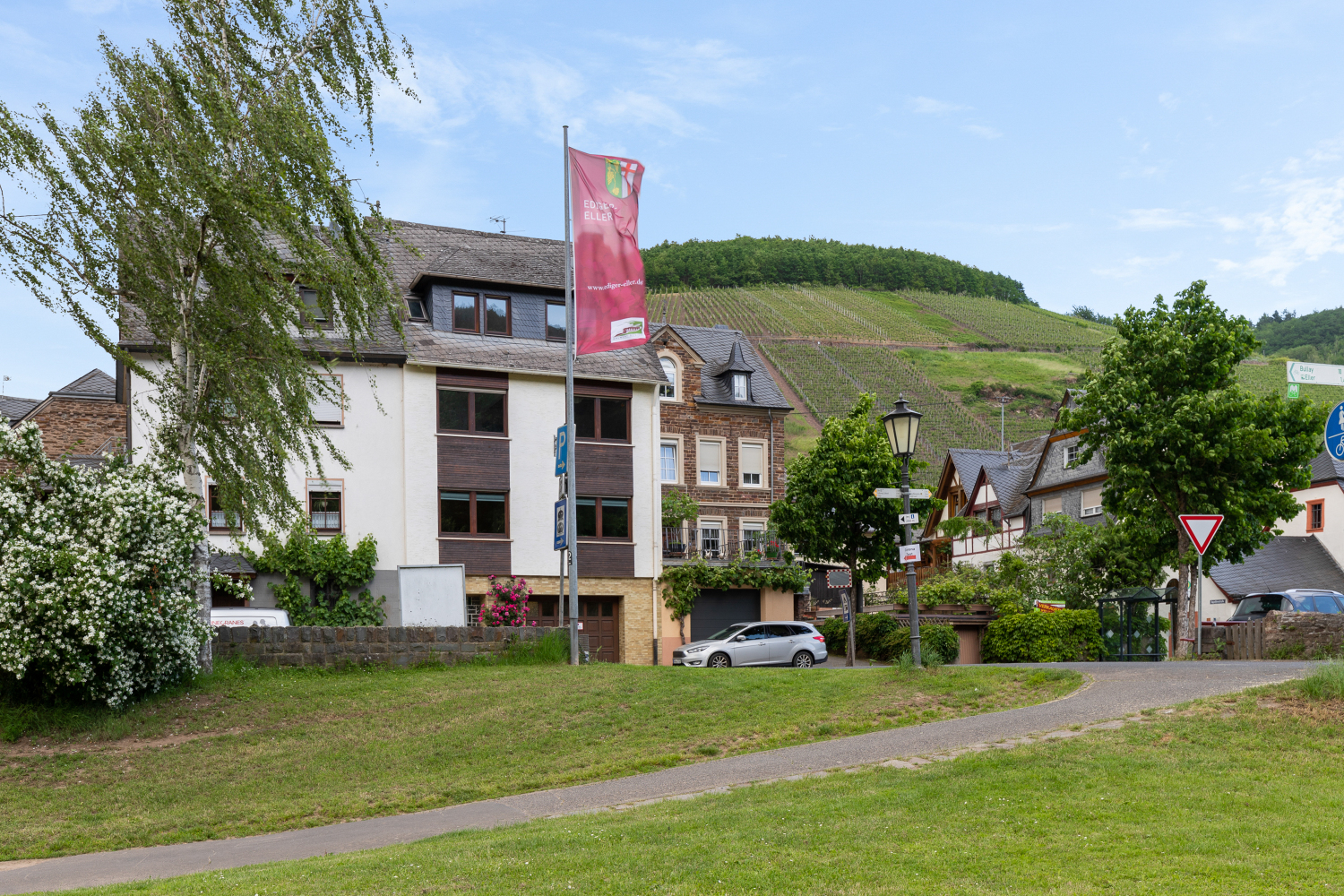 1 - huis vanaf gras web.jpg