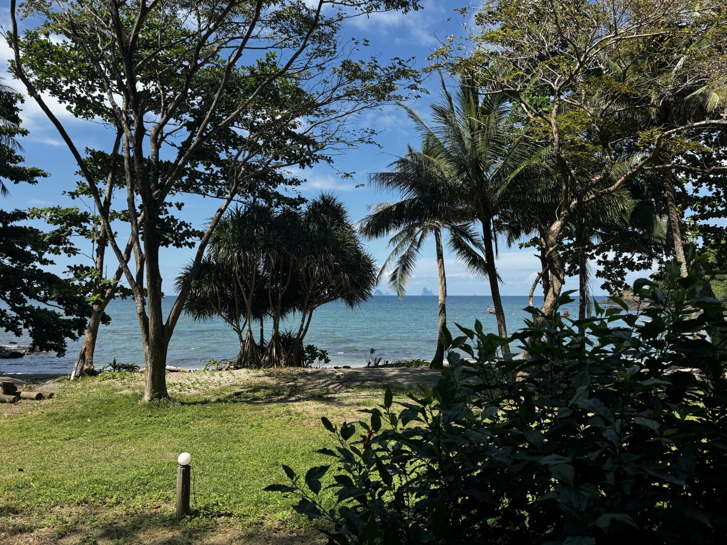 2024-12-19 13.23.21.jpg