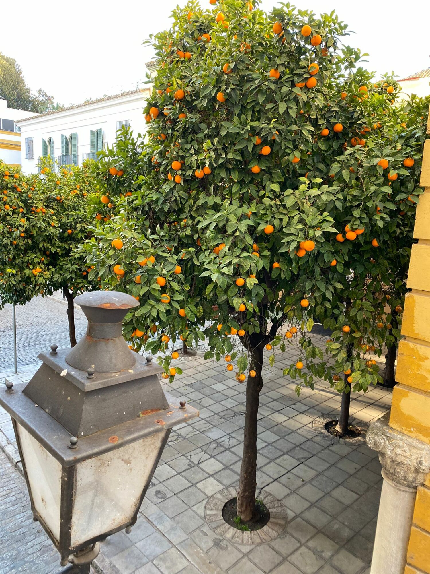 WhatsApp Image 2021-12-15 at 17.32.44 (1).jpeg