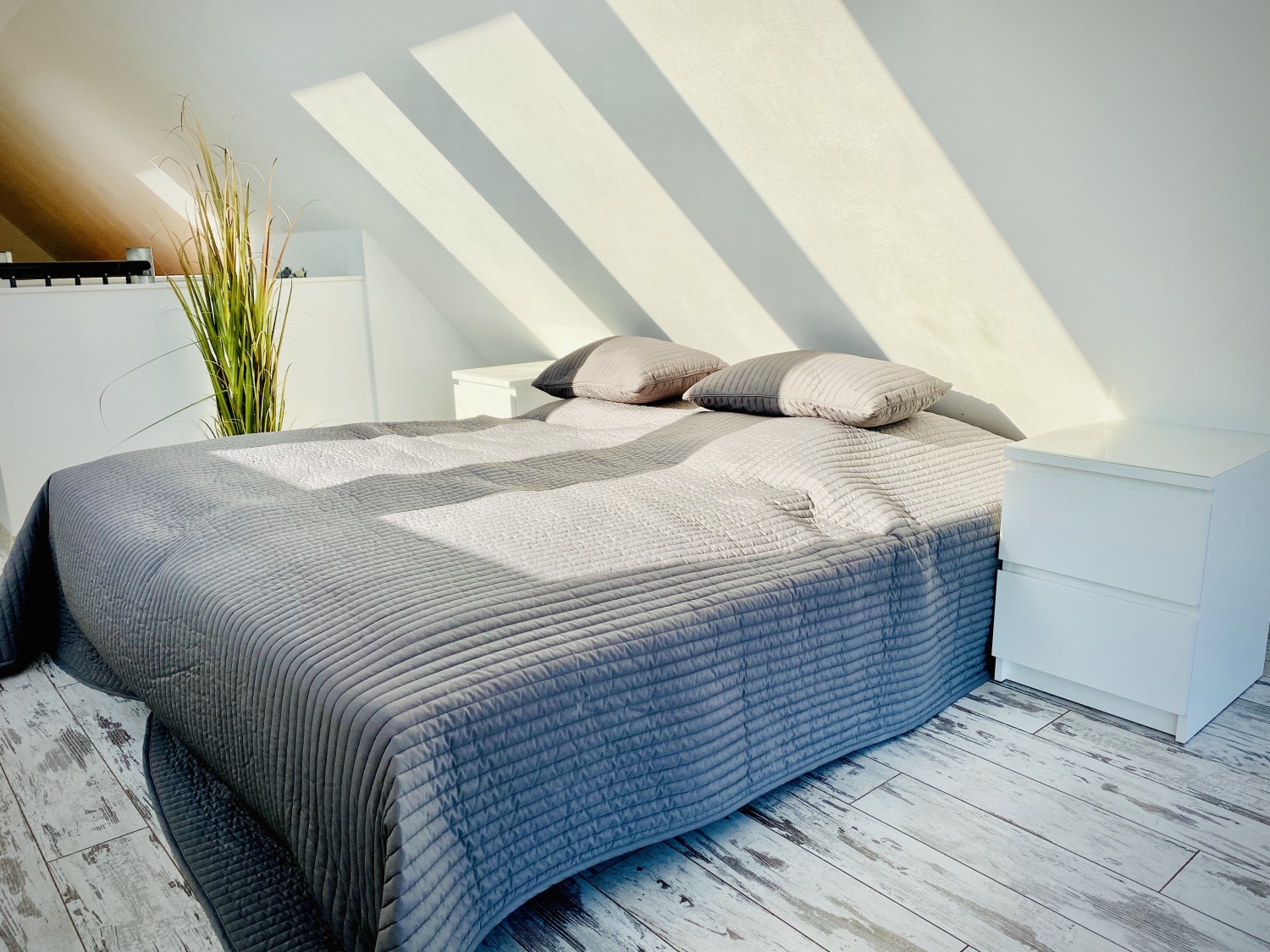 Foto 20.04.20, 17 37 06.jpg