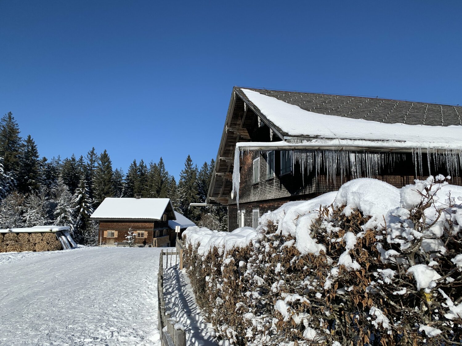 IMG_6009 Bödele (c) Nadine Kohler - Dornbirn Tourismus _ Stadtmarketing GmbH .jpg