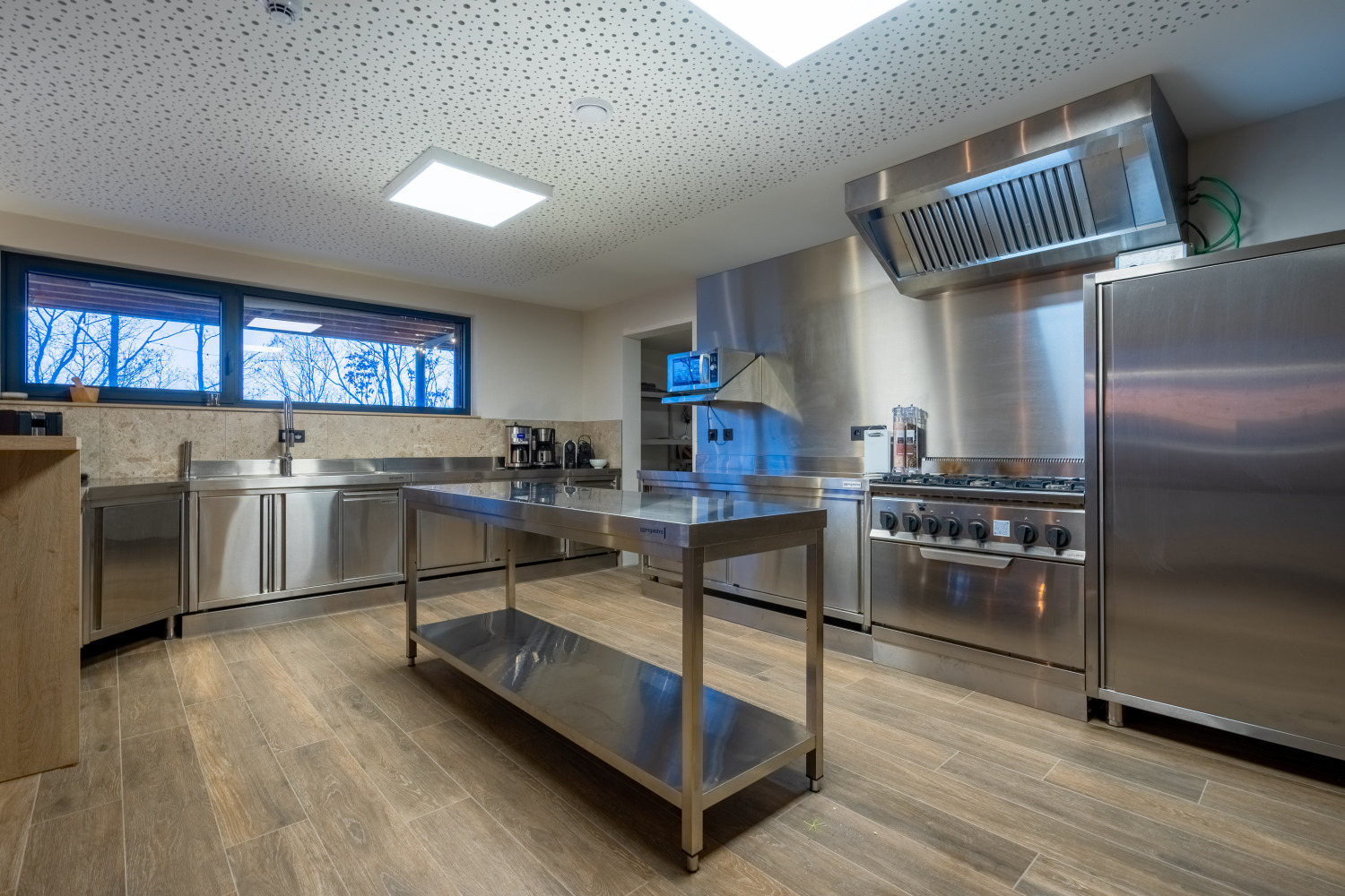 Bridge into the Nature Web--23.jpg