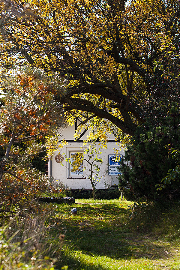 JS1410-631-a web.png