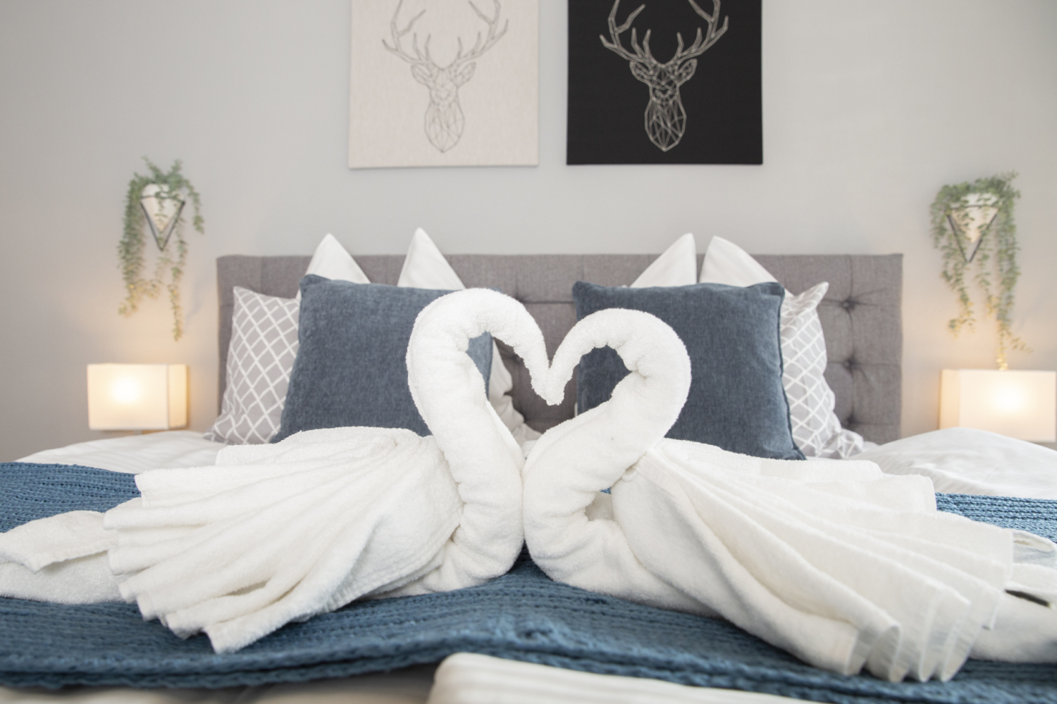 FeWo-Ulm - WEB-TWS_4489-2.jpg