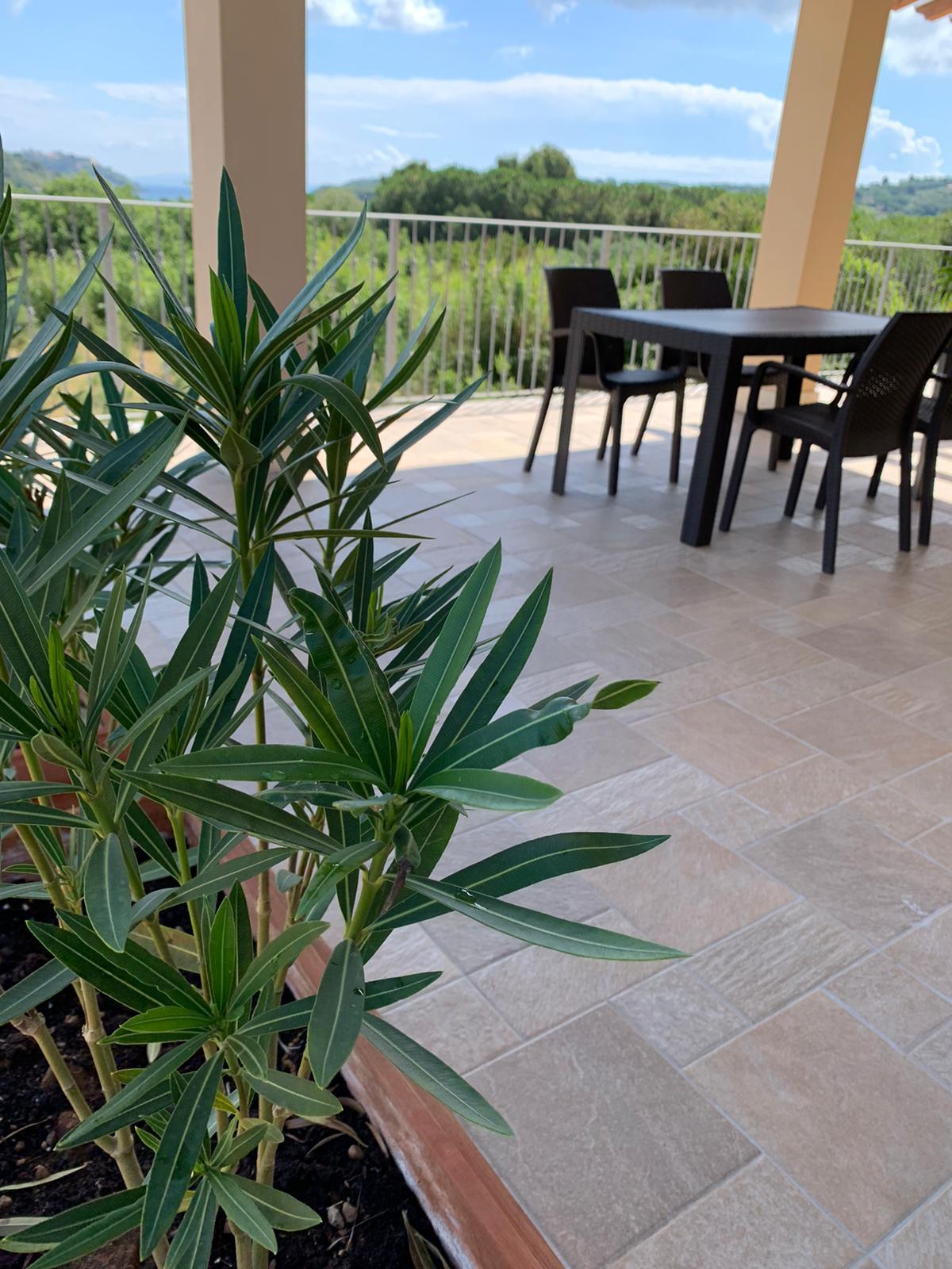 PHOTO-2020-06-08-11-17-29 2.jpg