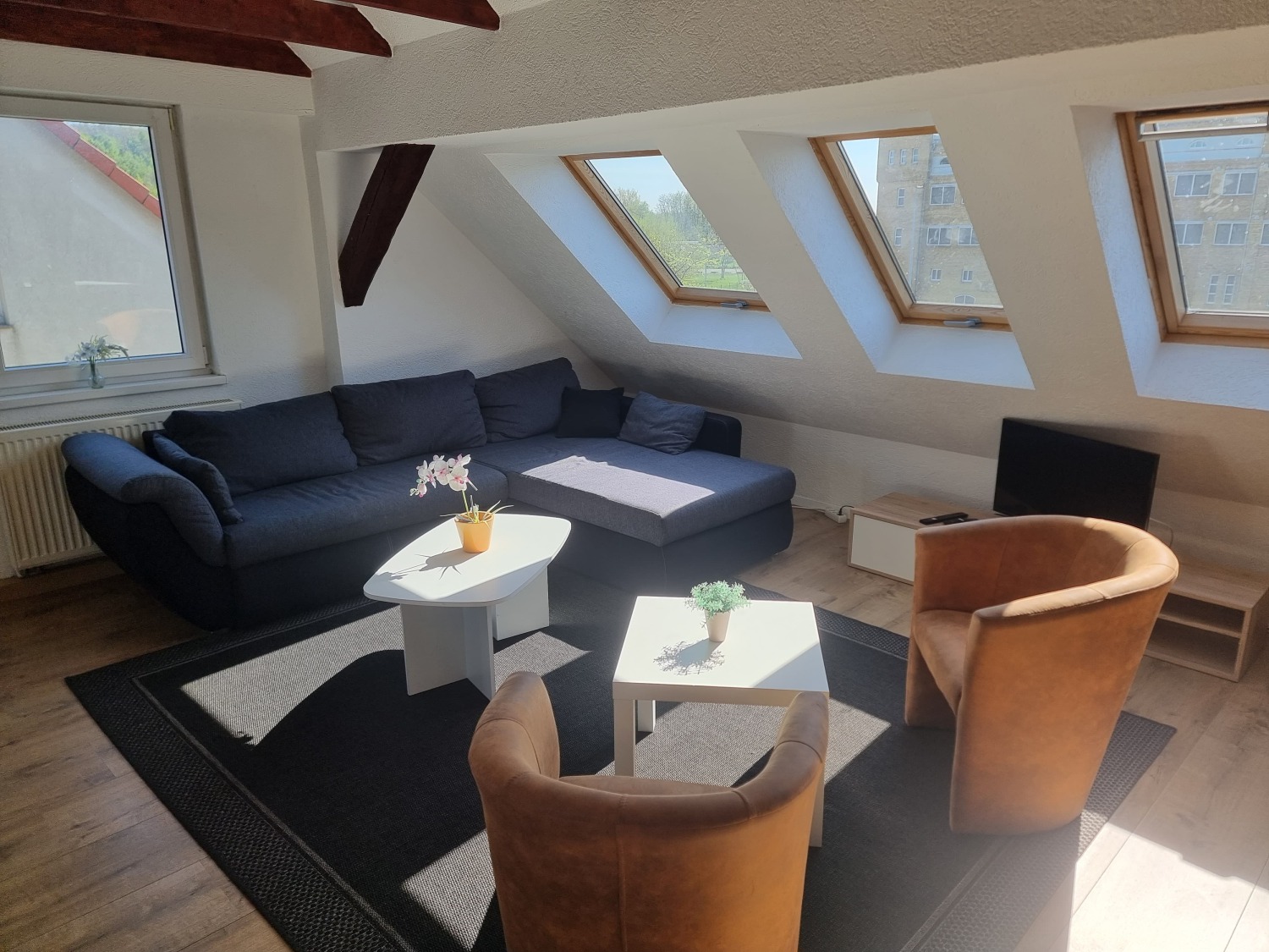 WhatsApp Image 2025-04-29 at 12.25.34.jpeg