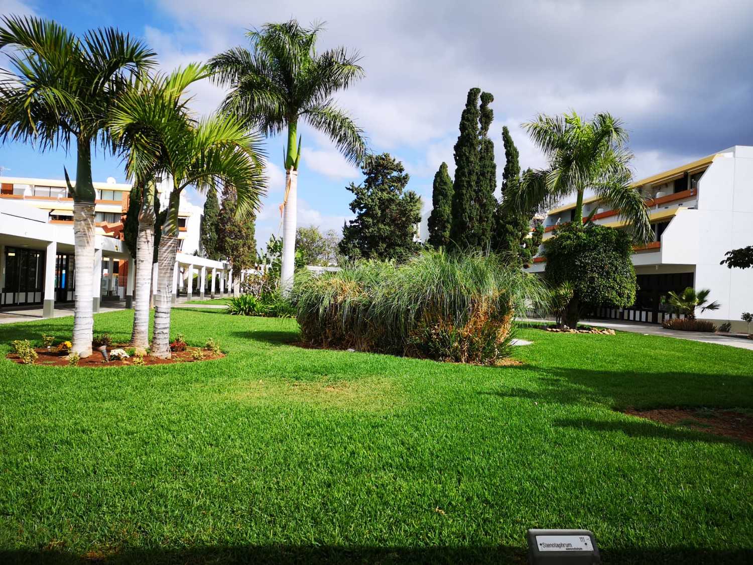 WhatsApp Image 2019-05-17 at 17.05.29.jpeg