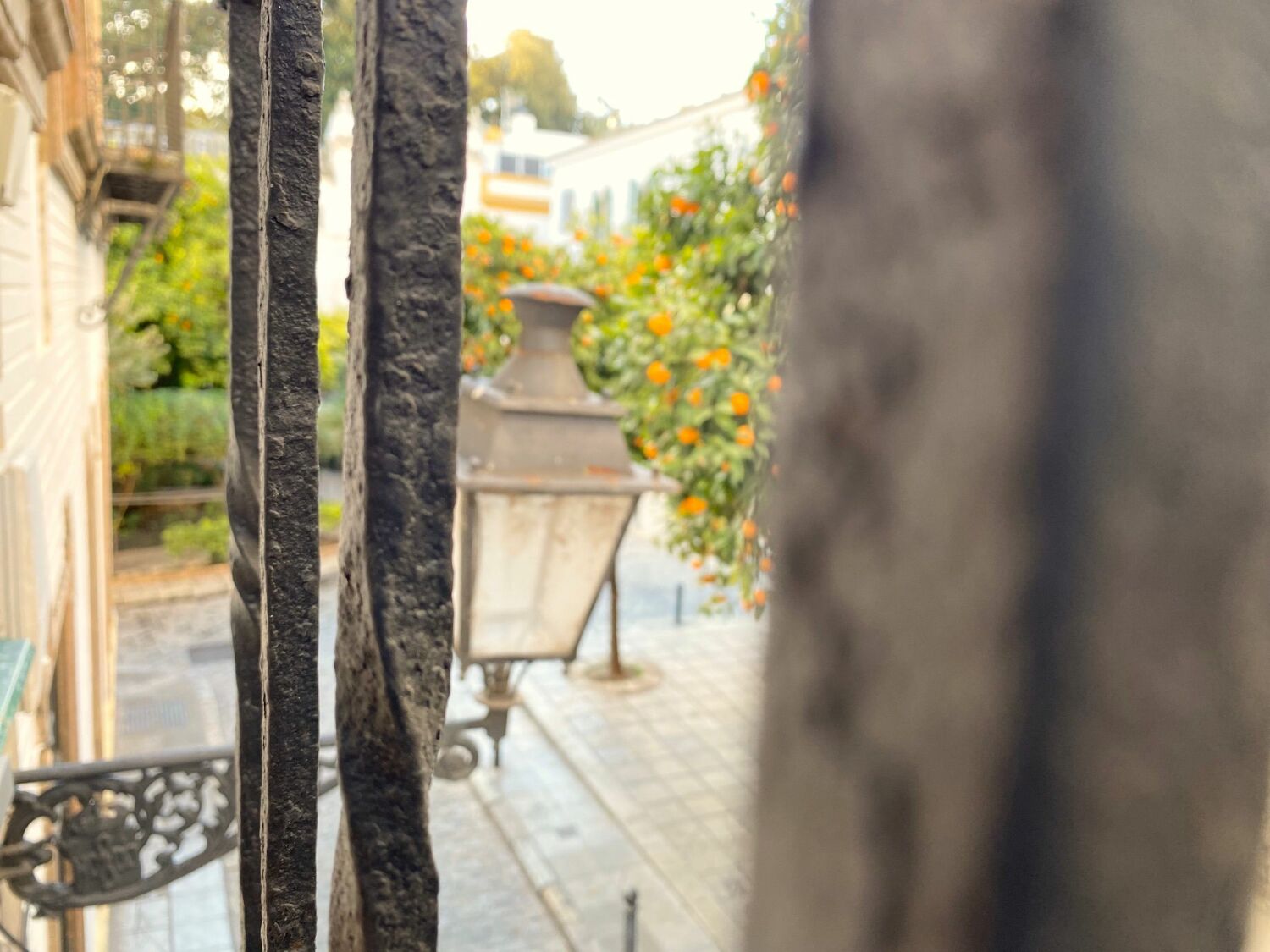 WhatsApp Image 2021-12-15 at 17.32.45.jpeg