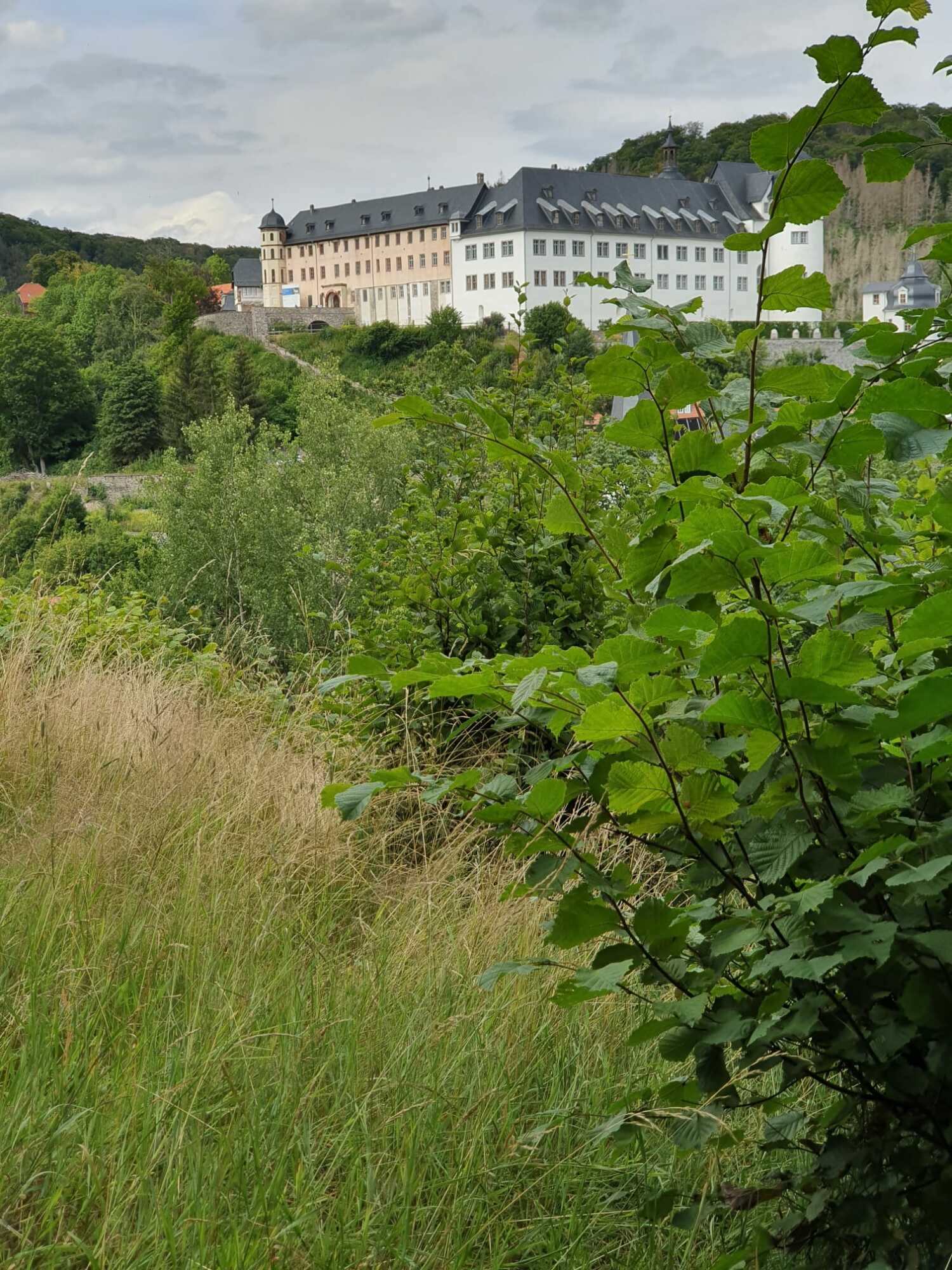 WhatsApp Image 2021-11-30 at 14.38.55.jpeg