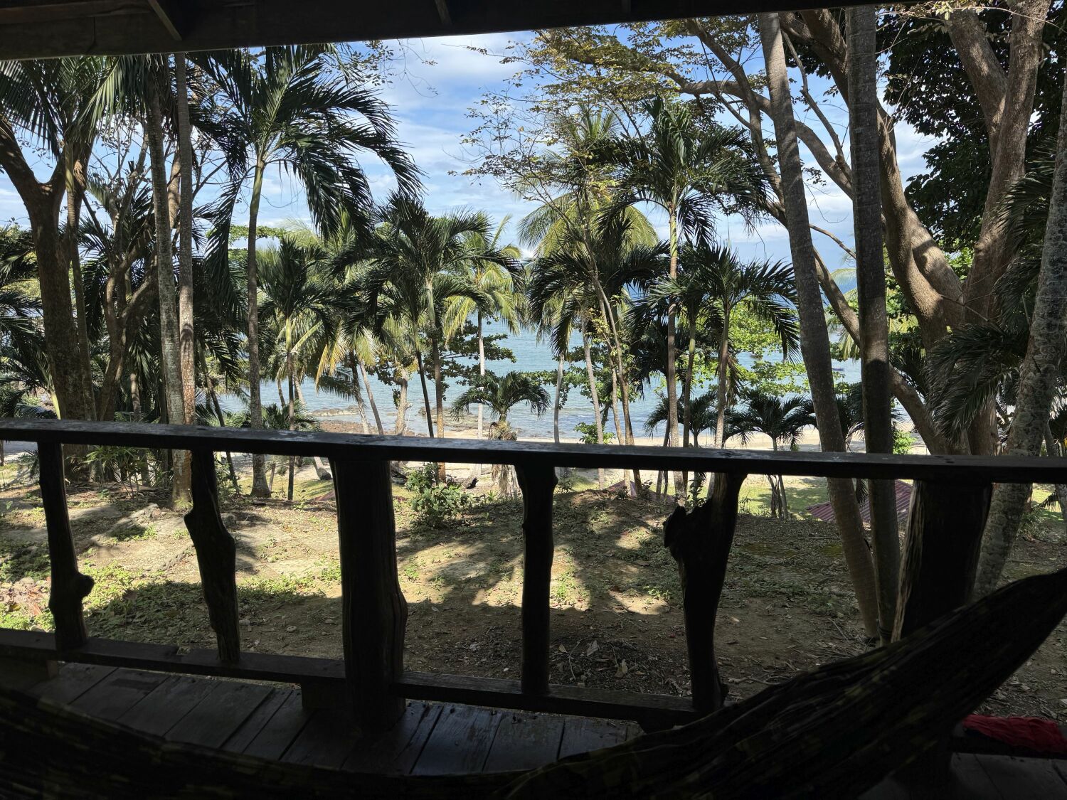 2025-01-18 11.03.40.jpg