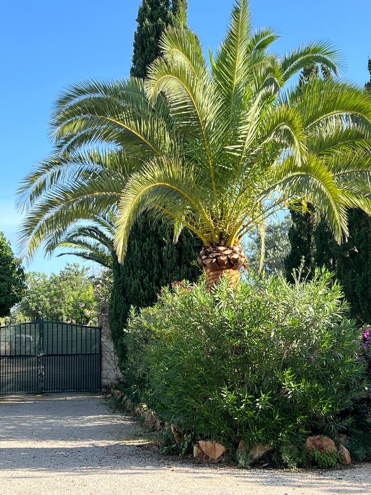 WhatsApp Image 2026-01-16 at 14.02.33.jpeg