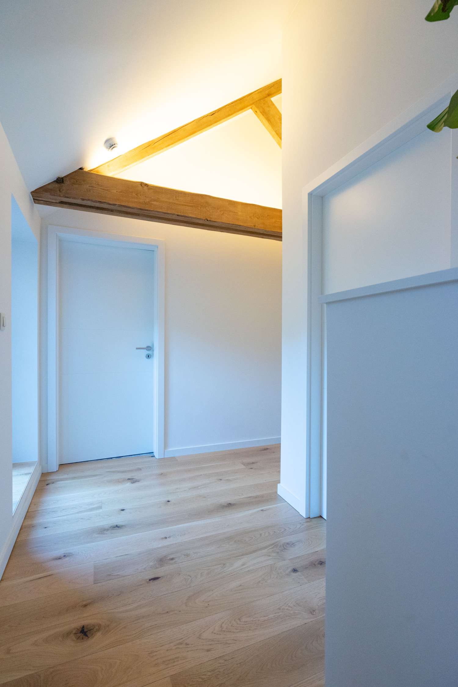 Bed n Bike 3 Web-00487.jpg