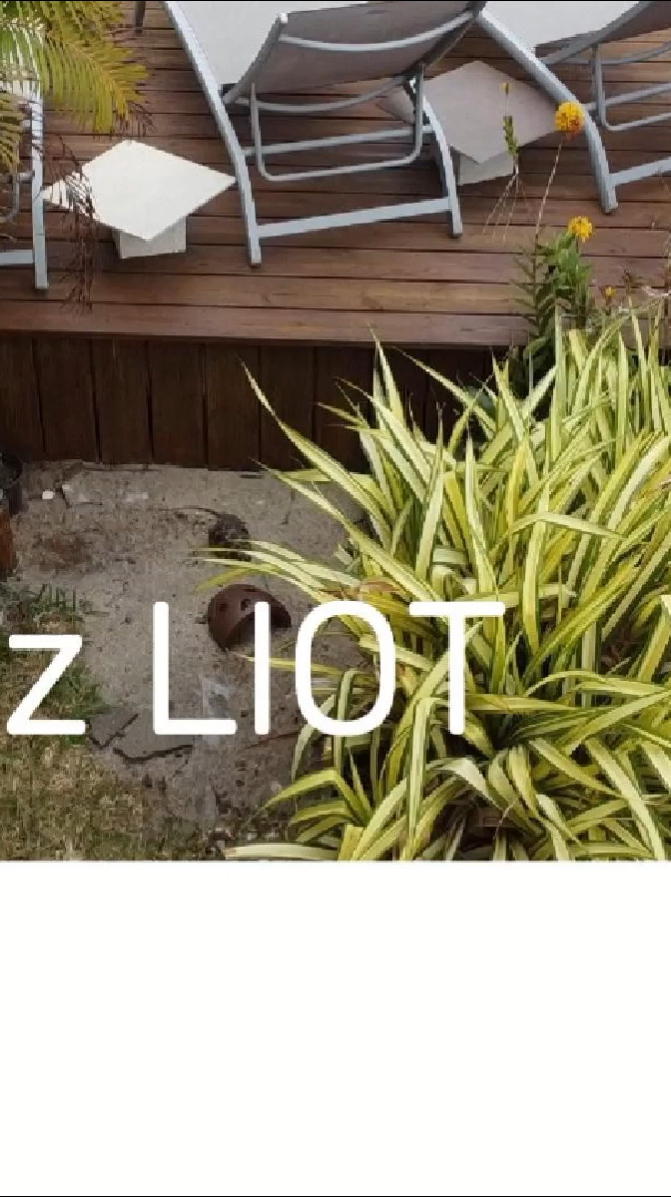 La Kaz Liot 9：16 Cover 2024-09-13-12-00-10.png