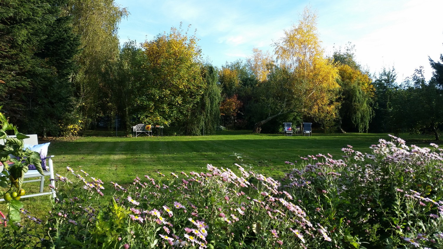 4 Unser Garten.jpg.jpg