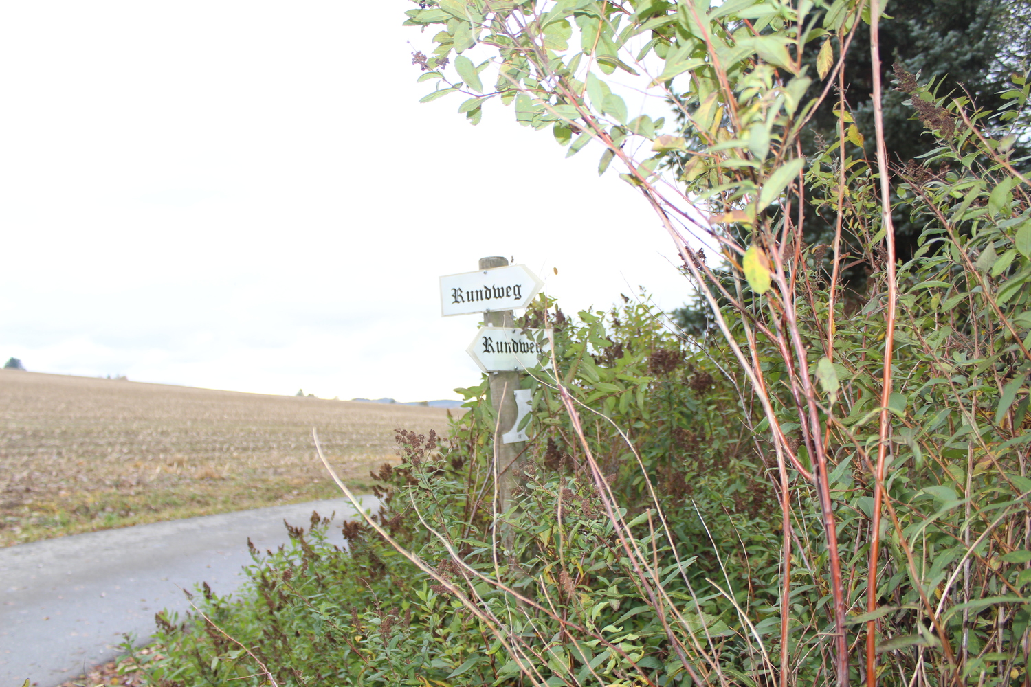 Natur Tanna (11).JPG