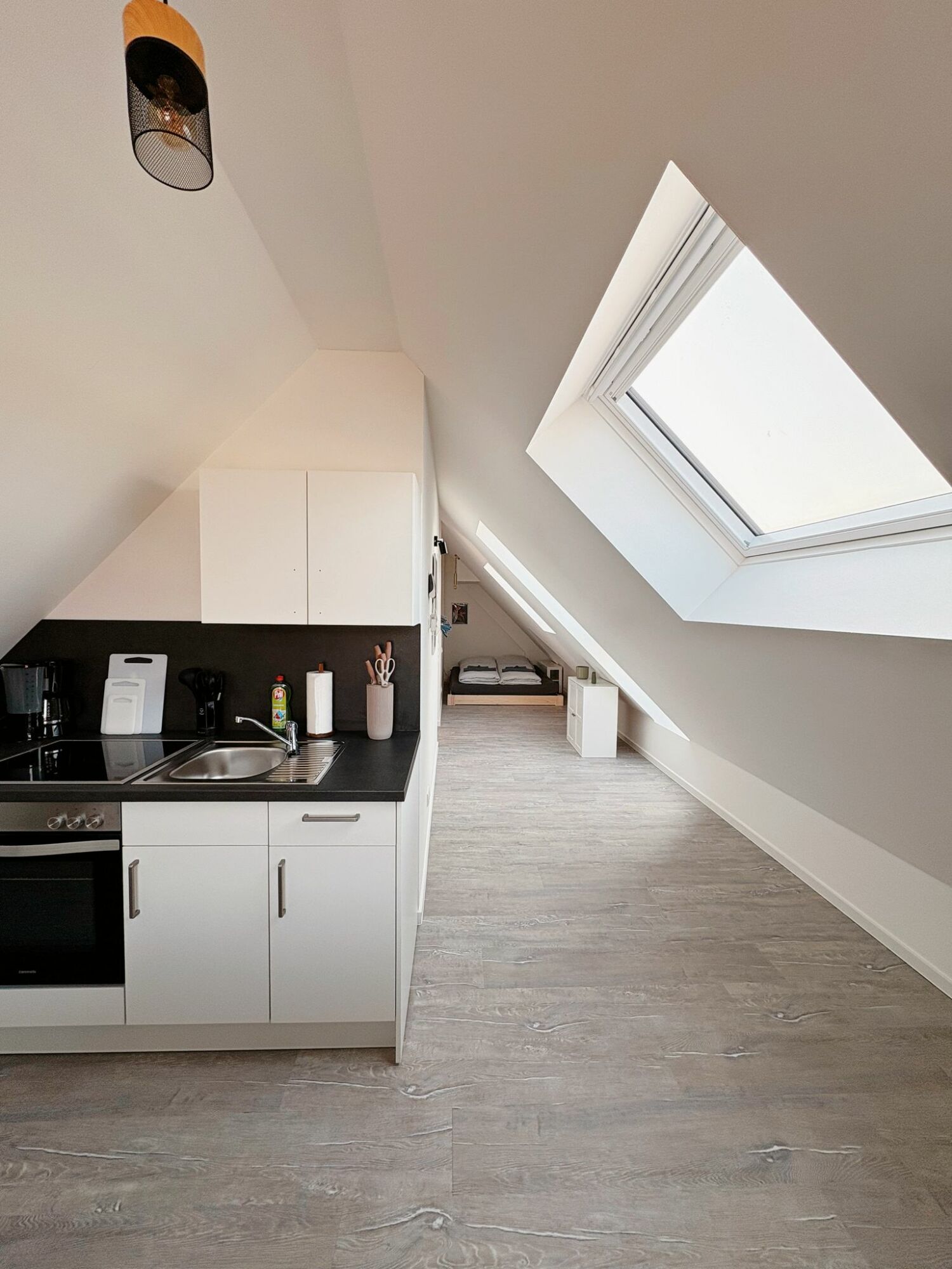 WhatsApp Bild 2025-03-10 um 16.35.12_87dbcf12.jpg