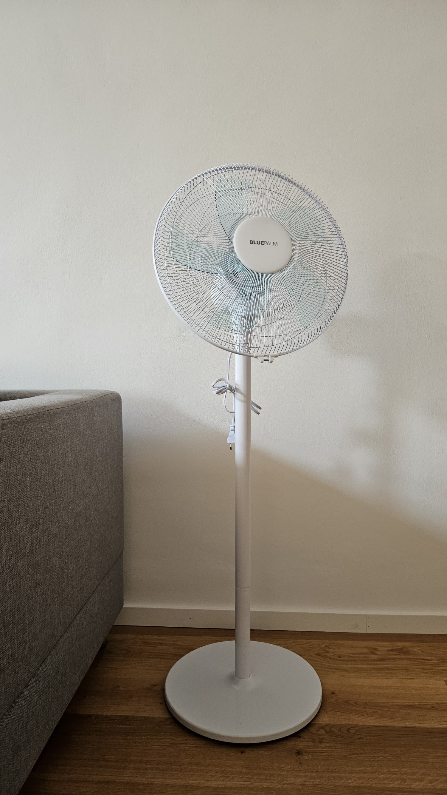 WhatsApp Image 2025-07-28 at 21.56.12 (2).jpeg