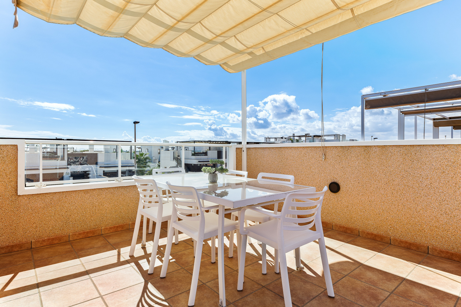 Gladiolo 52 - Pilar de Horadada (29).jpg