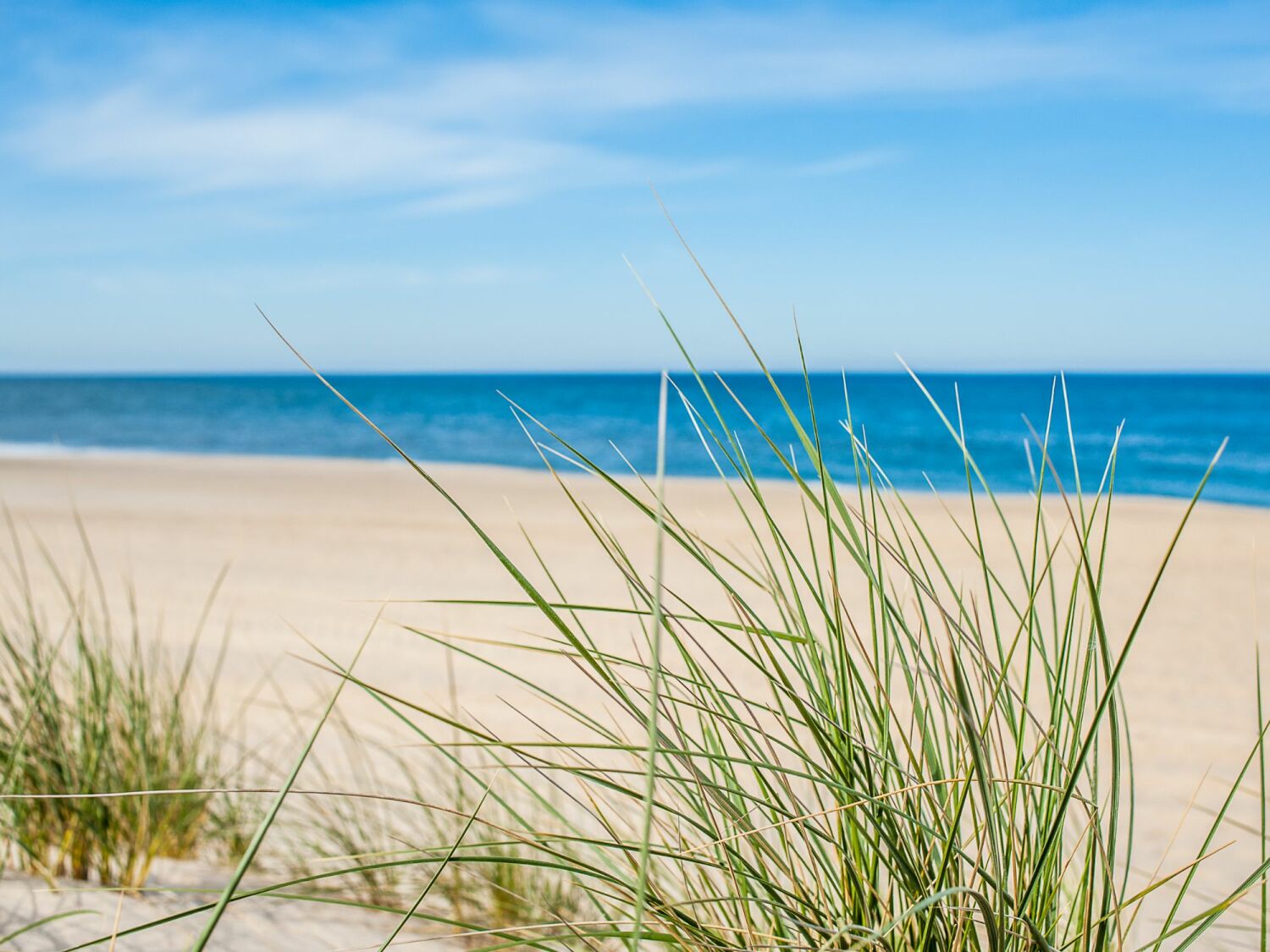Fewo Westerland_Techt bi Strön_Karibik-Feeling.jpg