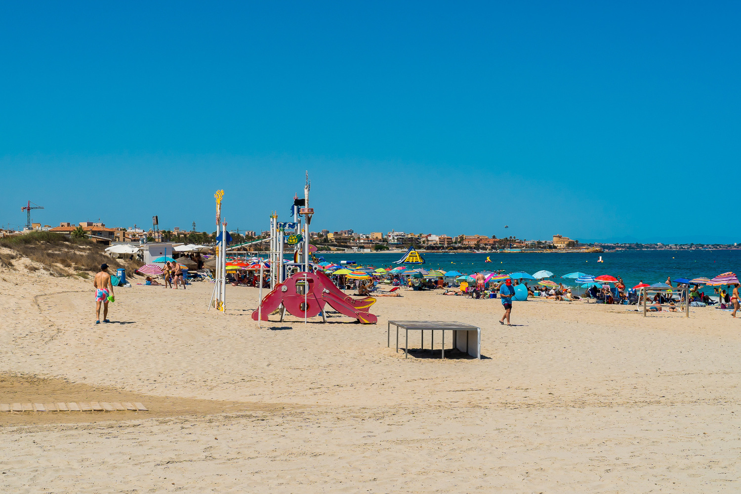 Gladiolo 52 - Pilar de Horadada (57).jpg