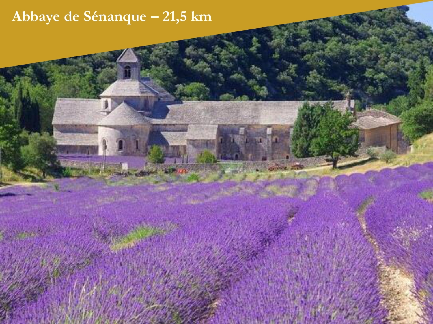 Abbaye de Sénanque - L'Isle d'Or_page-0001.jpg