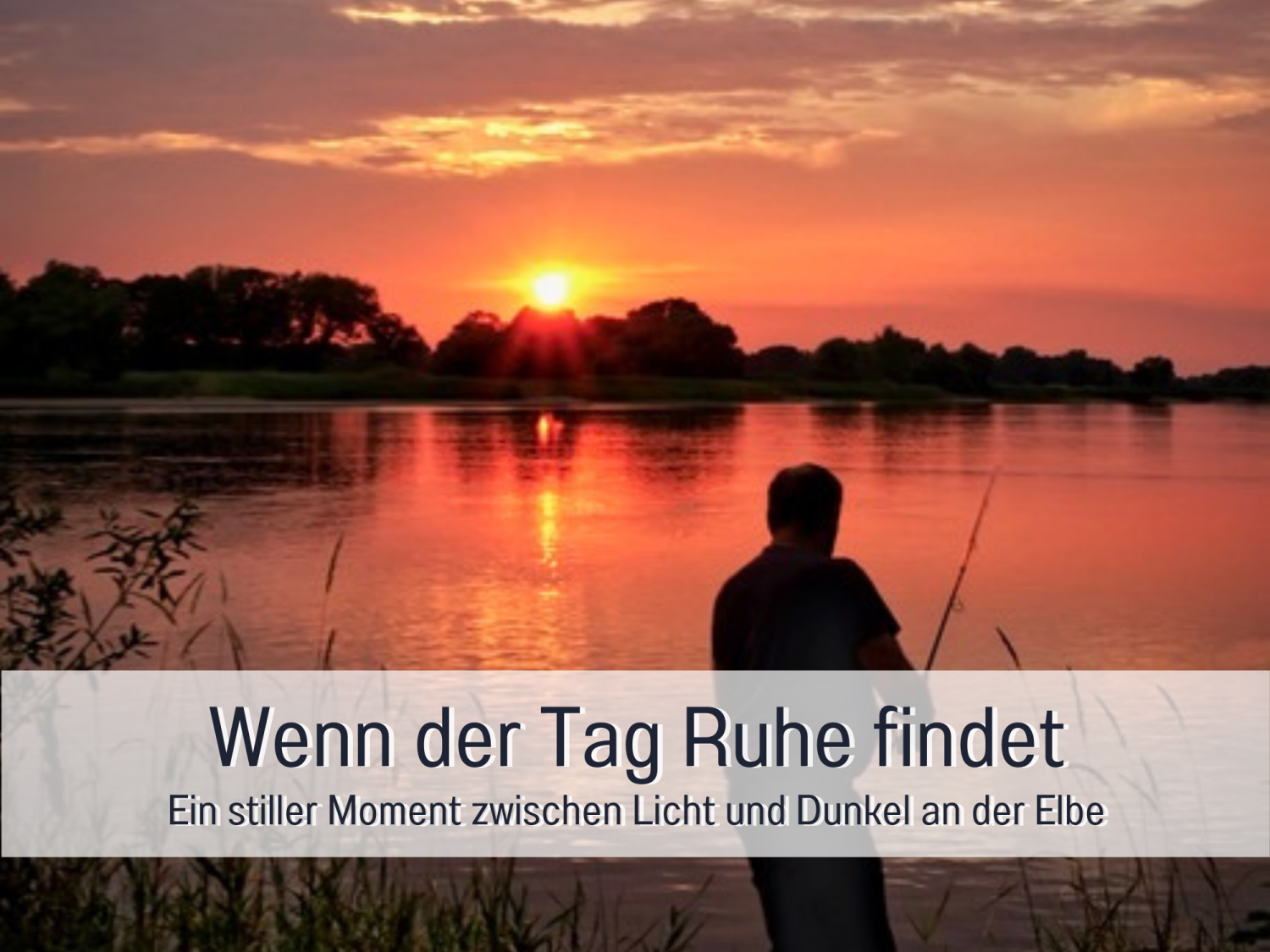 Vorlage für _beschriftet (39).png