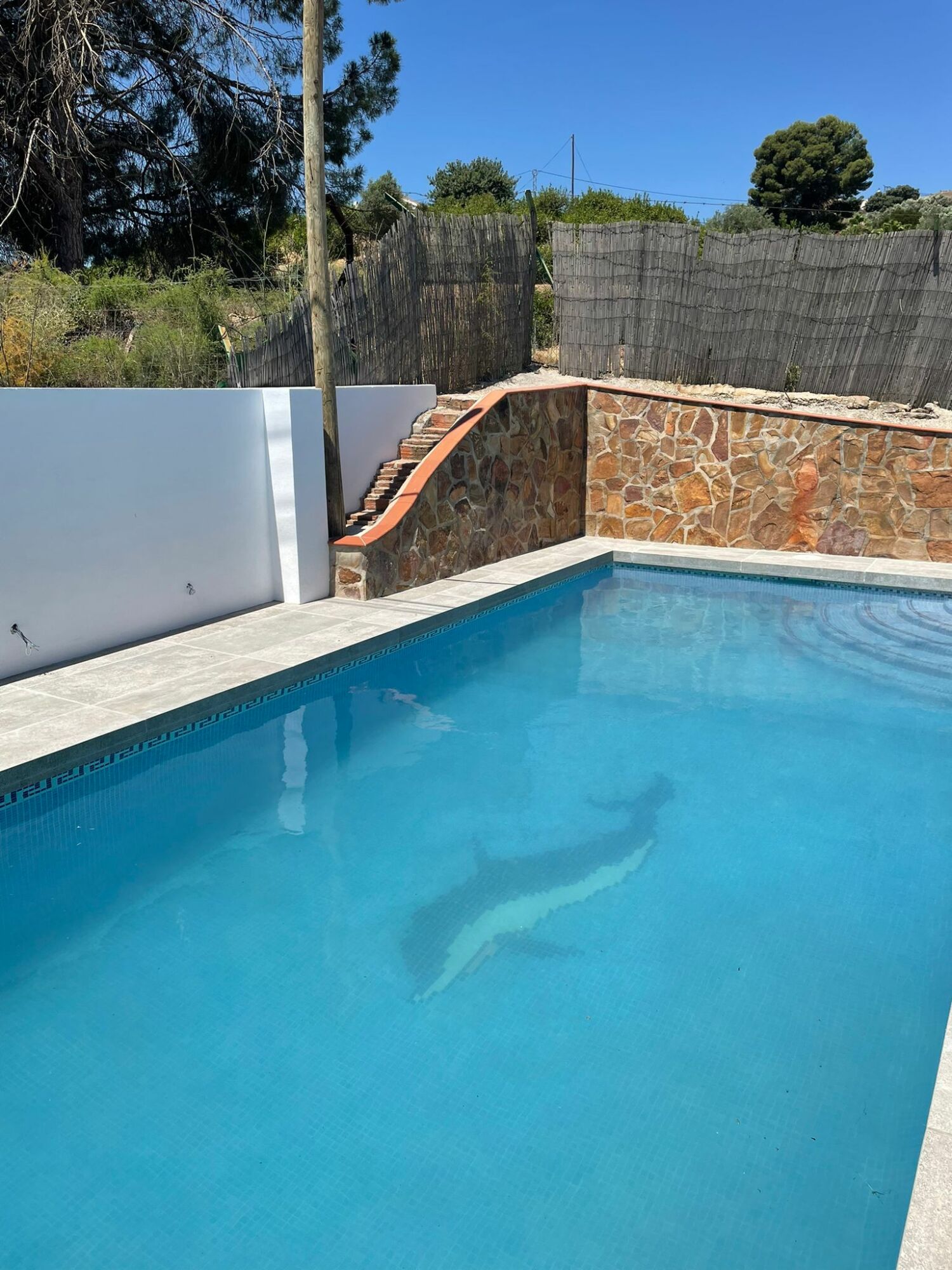 casa rural los caballos - finca canca 5.jpeg