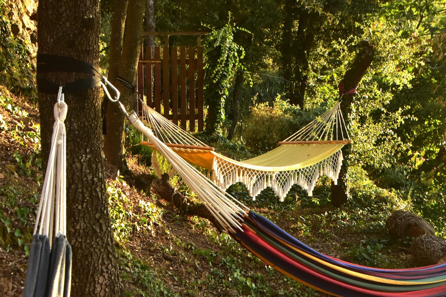Hamacs (1).jpg