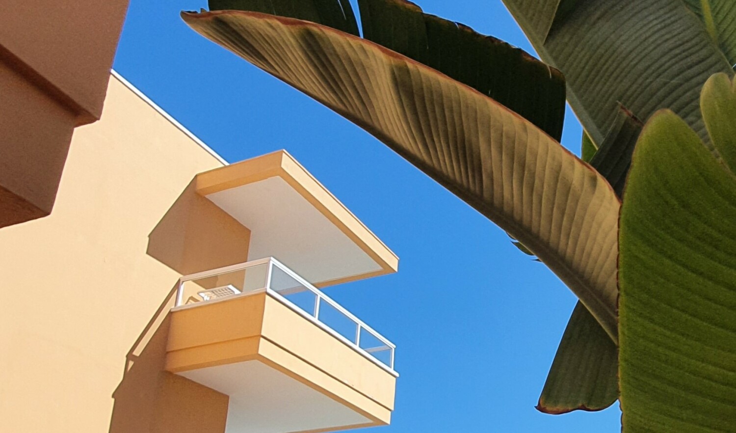 20230115_111004 1 (2).jpg