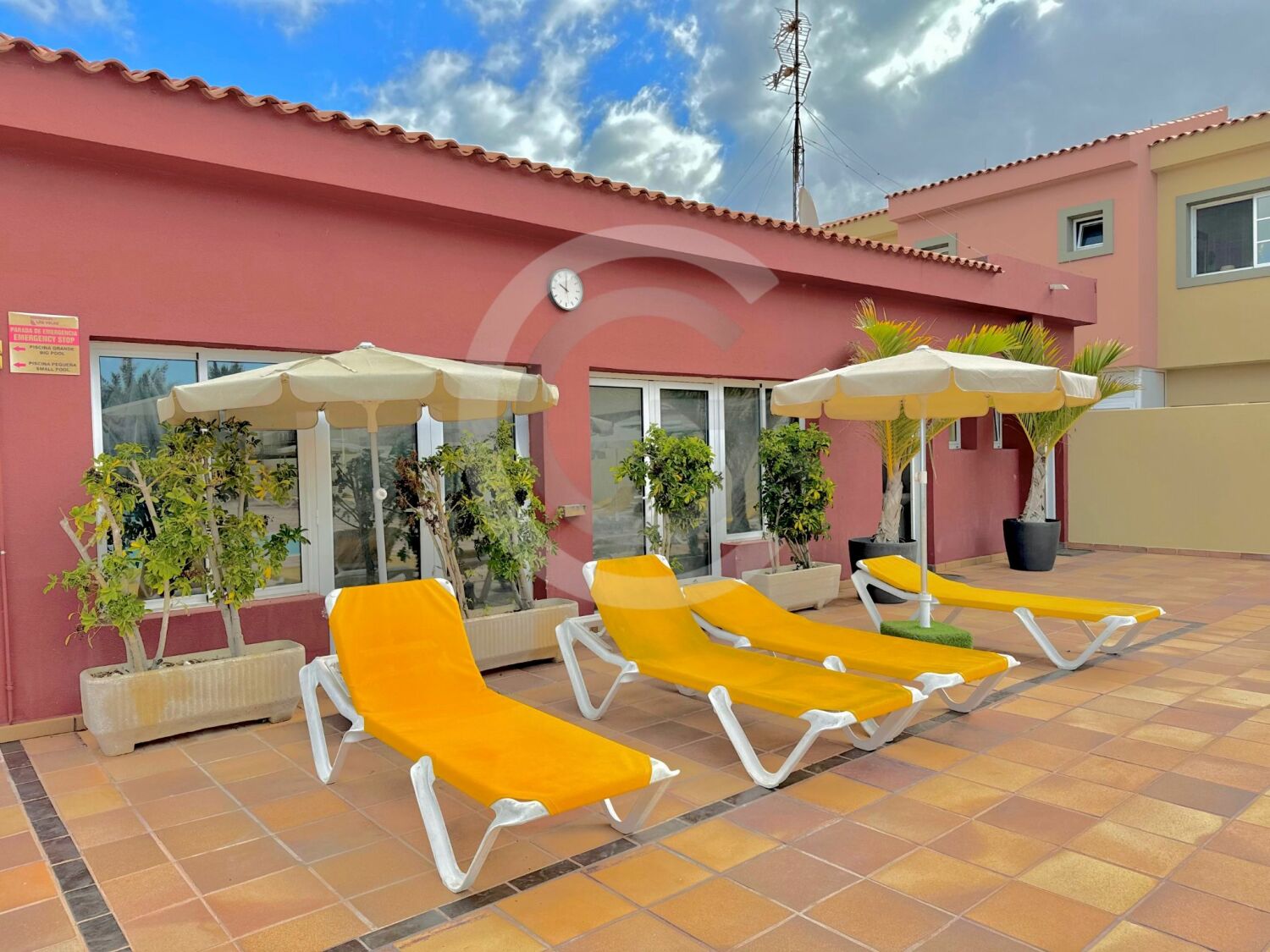 WhatsApp Image 2025-07-28 at 19.26.58 (2).jpeg