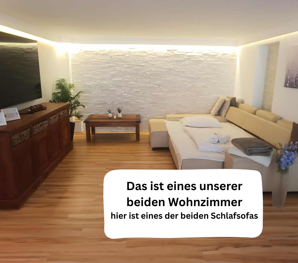 Wohnzimmer groß2.png