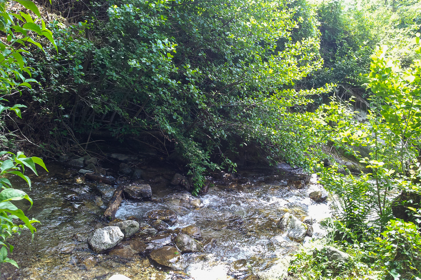 casa riale oben-14.jpg