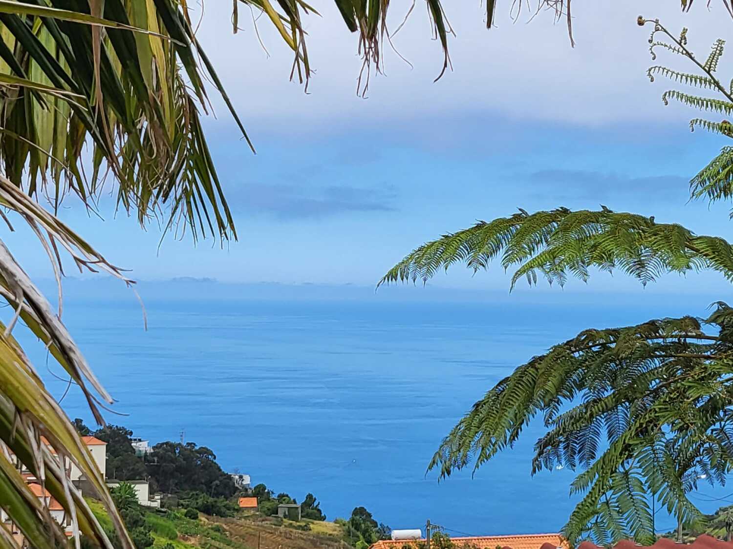 WhatsApp Image 2023-12-04 at 16.54.32 (1).jpeg