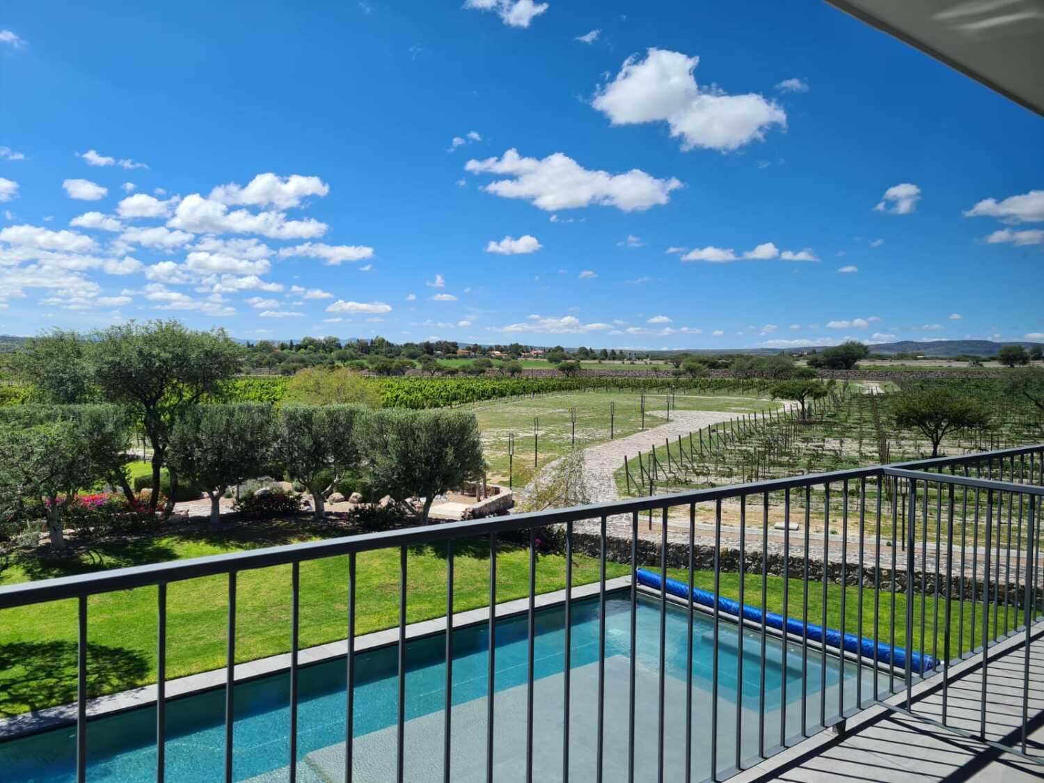 WhatsApp Image 2022-09-21 at 2.43.41 PM (3).jpeg