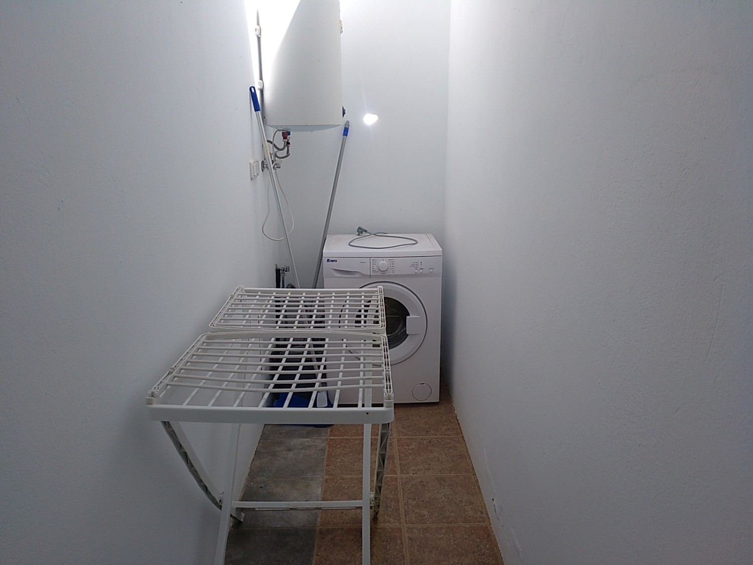 NOPAL AREA LAVADO.jpg