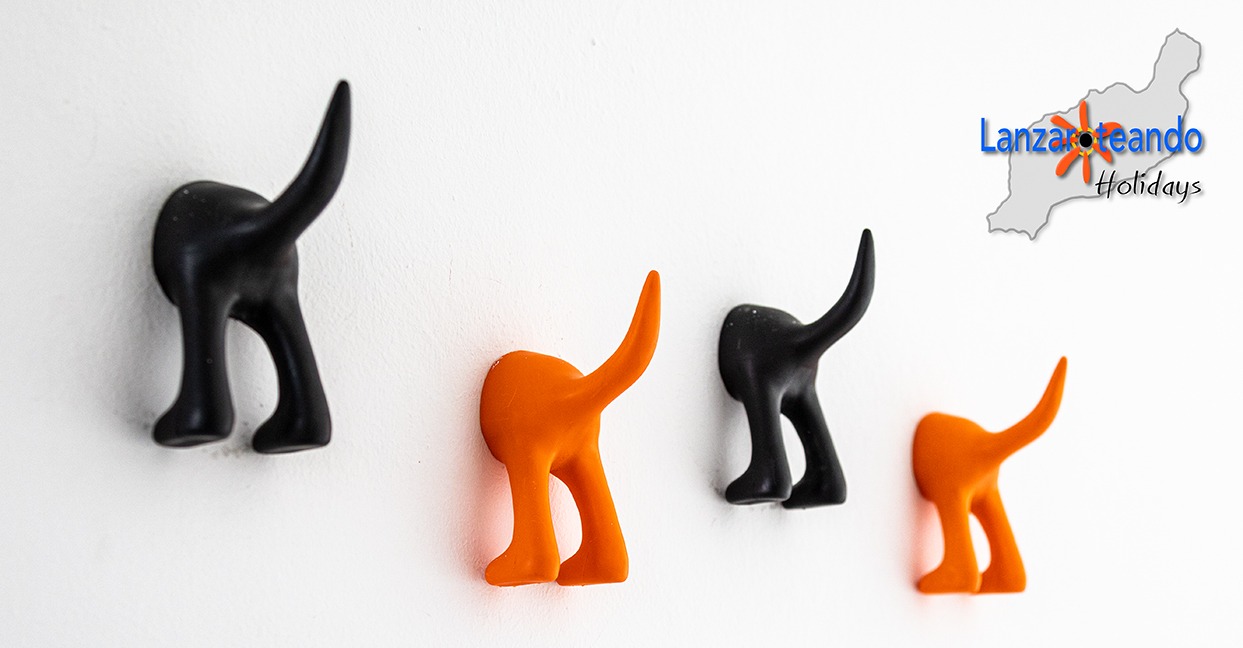 WhatsApp Image 2020-01-12 at 15.55.58.jpeg