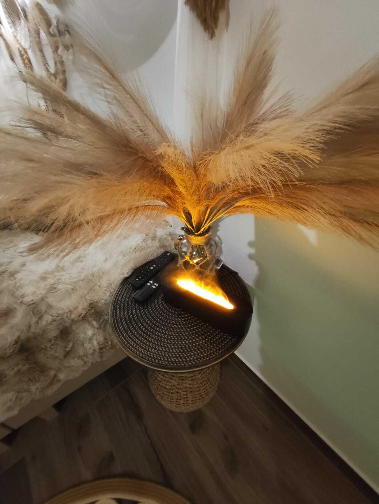 WhatsApp Image 2025-10-21 at 21.53.17.jpeg