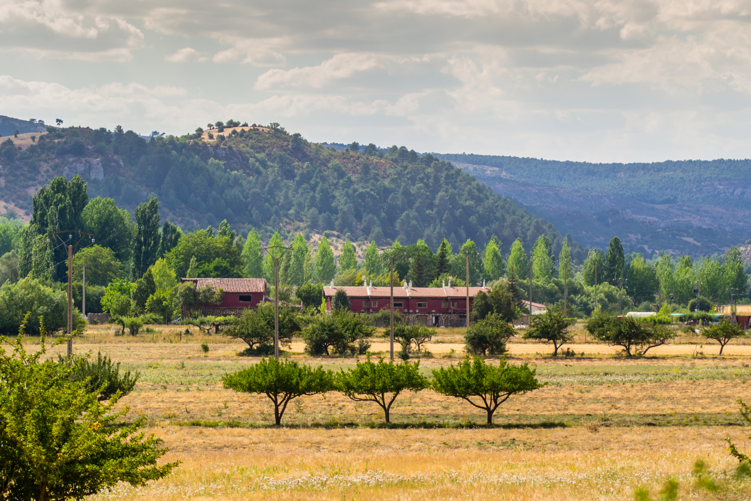 C.R "La Trufa Madre"