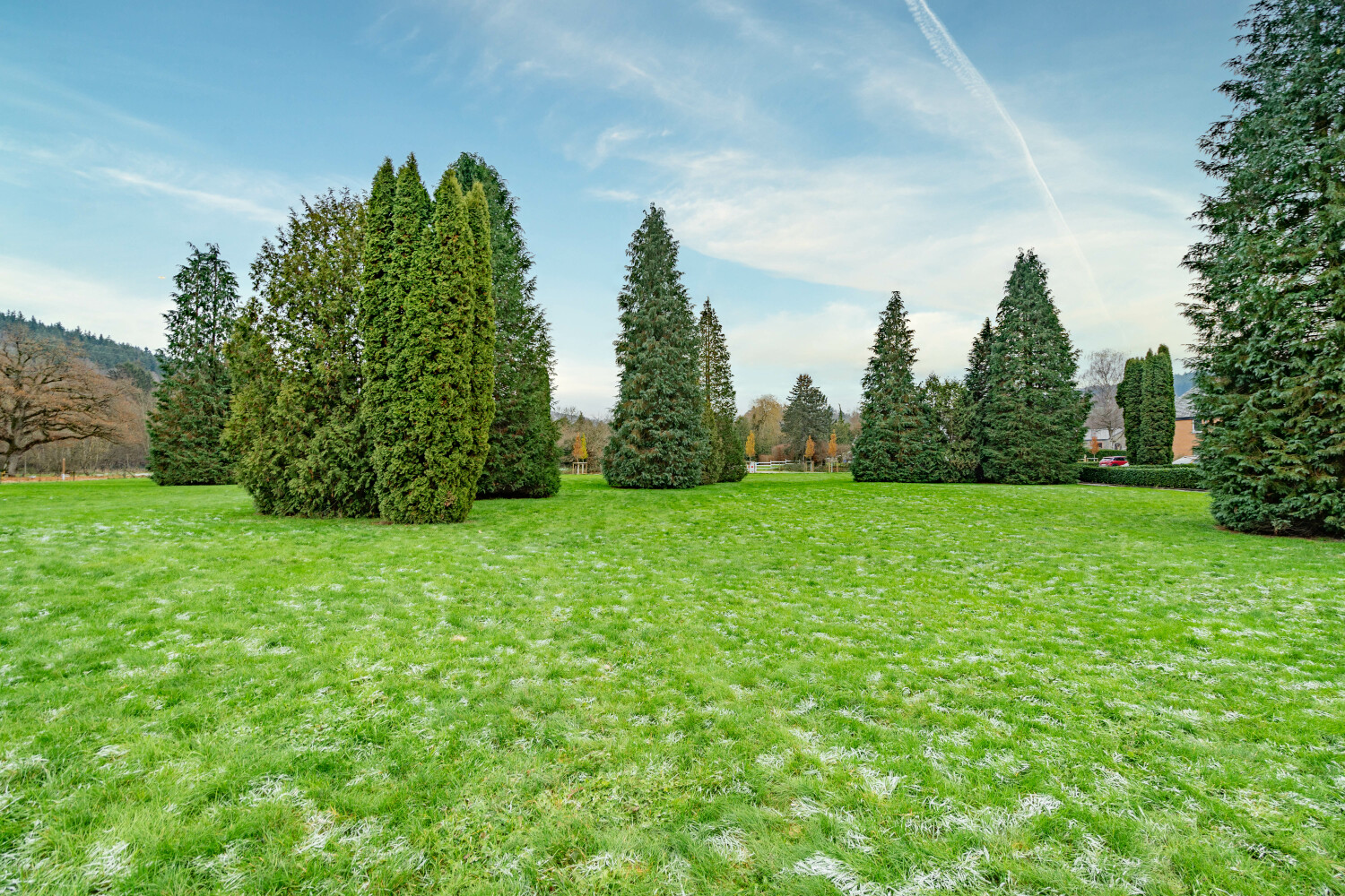 Au coeur du Bois Web--32.jpg