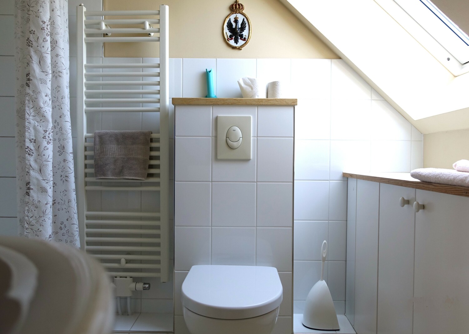 BC BAD-HG_AA_DSC05405.JPG