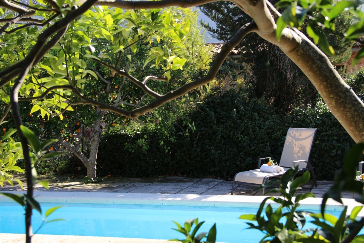 IMG_1260 (1280x853).jpg