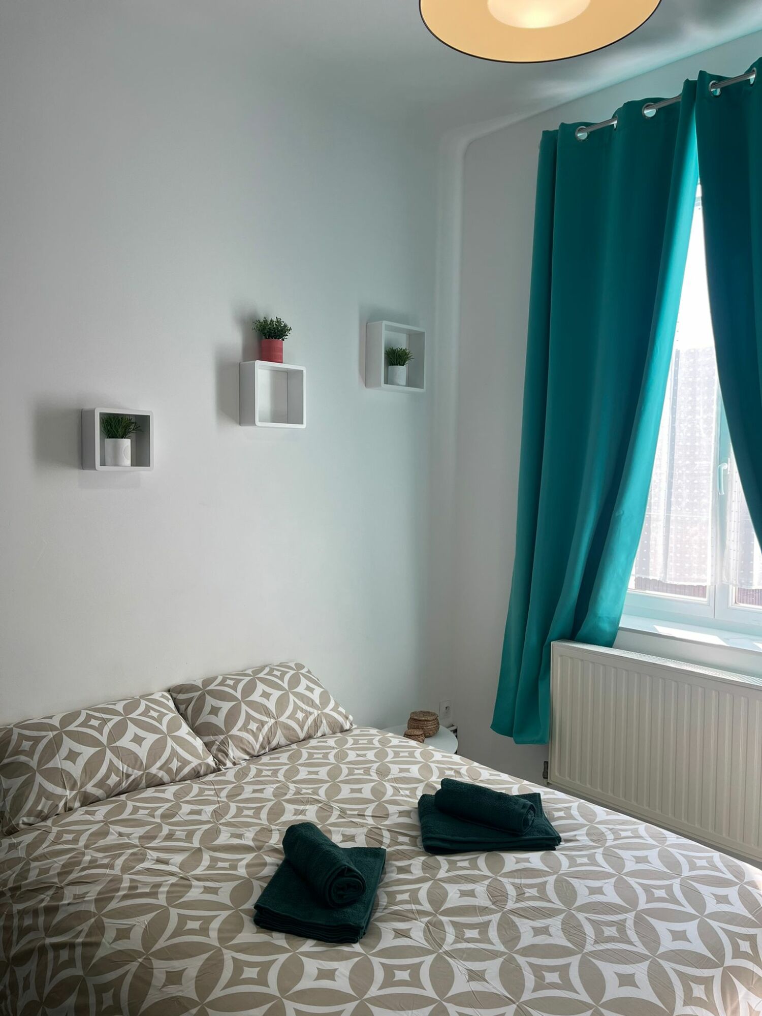 PHOTO-2024-10-06-14-22-29 2.jpg