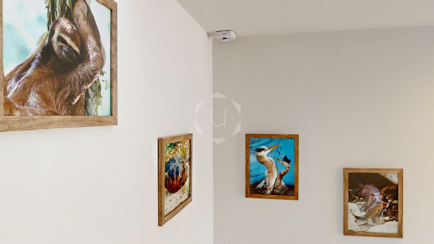 Unique Holiday Home, Casa Boricua, Sa Riera, Begur, Costa Brava0035.jpg