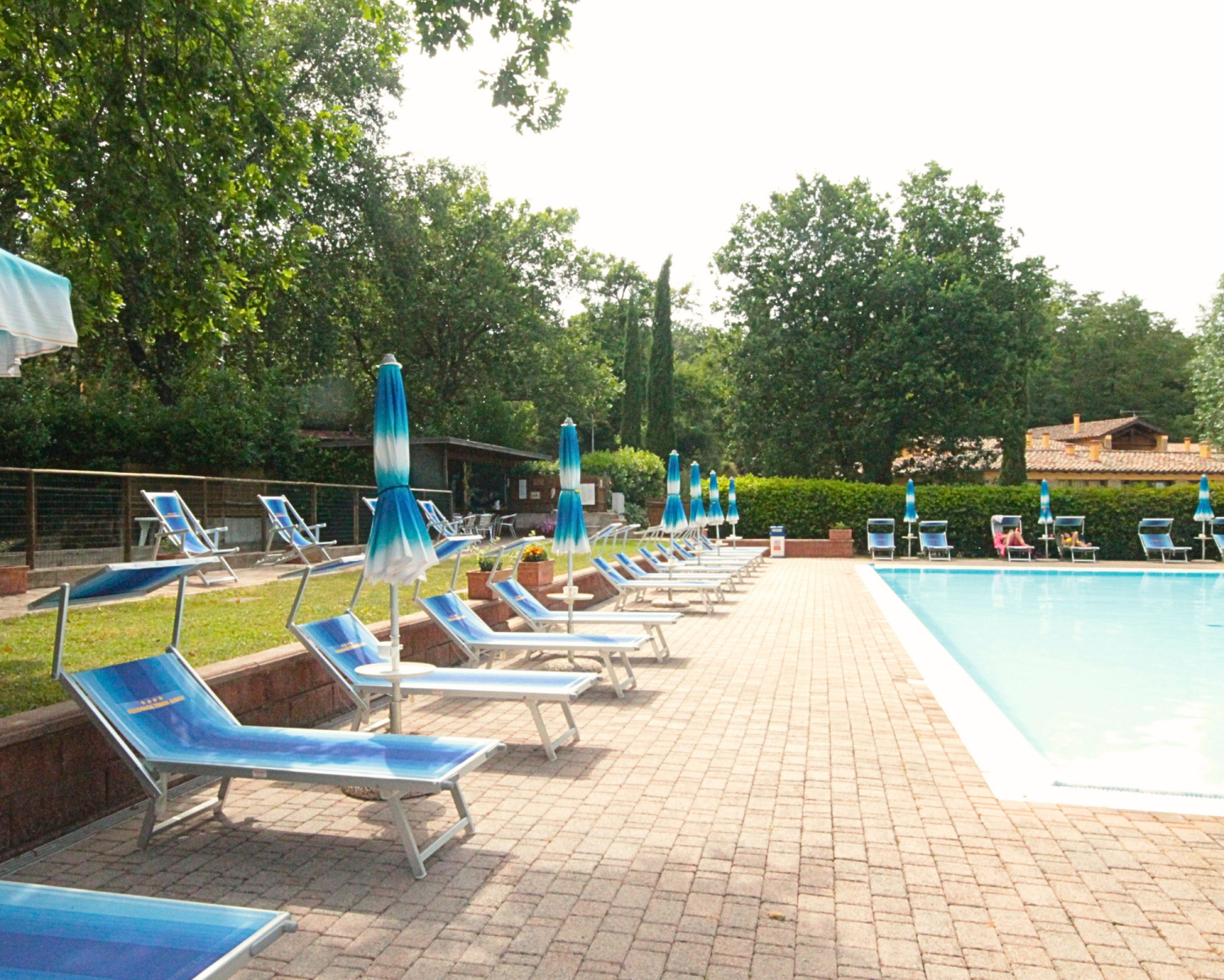 Progetto senza titolo (5) - Copia - Copia.png